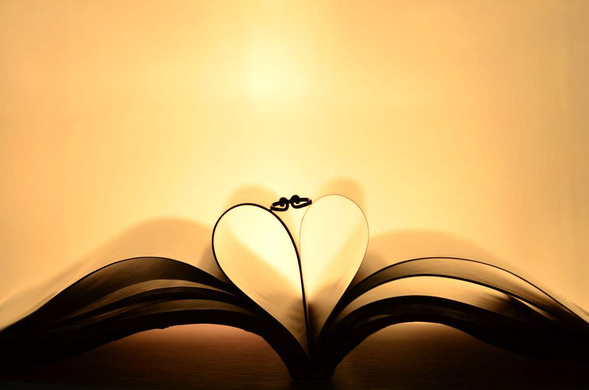 爱惜 池莉 - 第1张