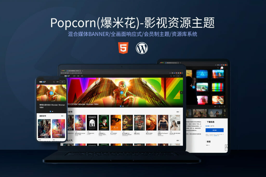 WordPress影视资源下载站主题 Popcorn - 第1张