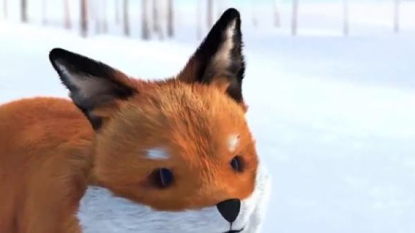 A FOX AND A MOUSE 狐狸和老鼠的故事