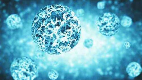 纪录片《病毒与人体细胞大战》