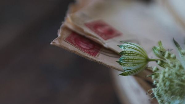 欧亨利 《双料骗子》原文阅读