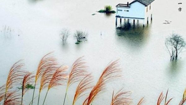 国风·秦风·蒹葭  全文阅读赏析