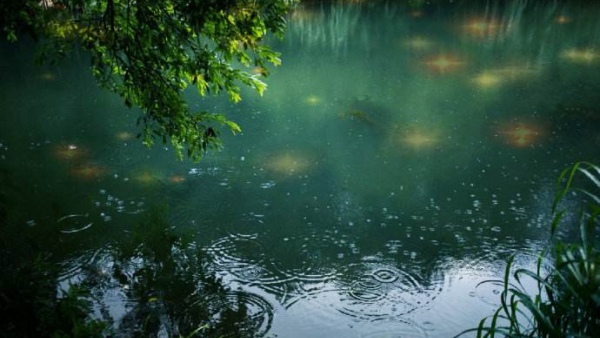 《麦琪的礼物》中文原文 欧·亨利