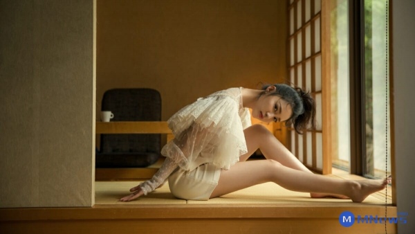 解决升级WordPress时提示：另一更新正在进行