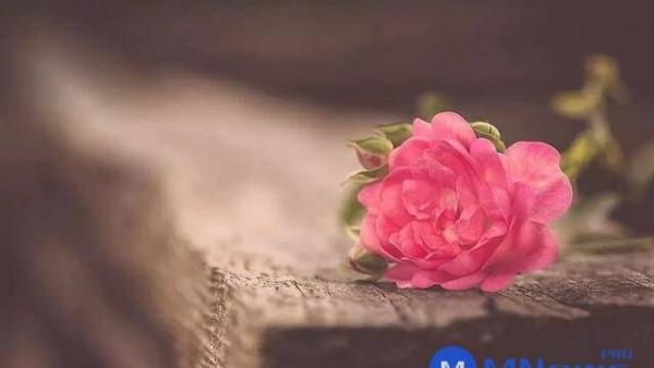 一部讲述黑客的高智商犯罪电影，人类才是最大的安全漏洞