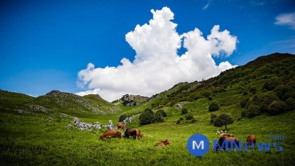 《你们这些回魂尸》罗伯特·海因莱恩